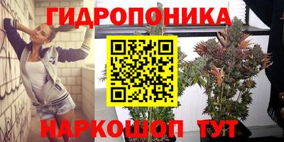 PSILOCYBIN Будённовск