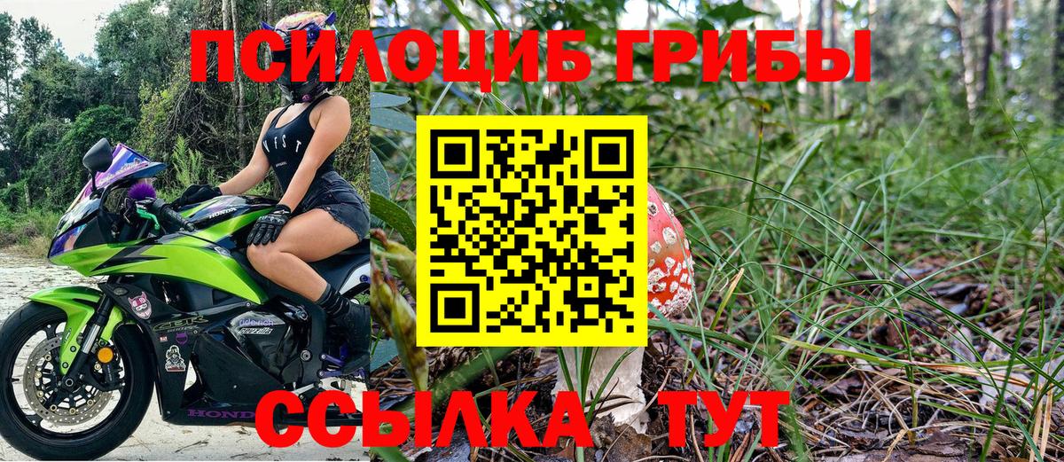 Менделеевск  Галлюциногенные грибы Psilocybine cubensis  Вход с VPN  Псилоцибиновые грибы ЛСД 